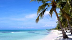 saona turtle project schau ma mal