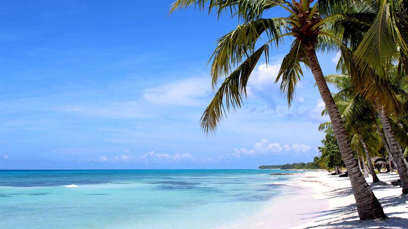 saona turtle project schau ma mal